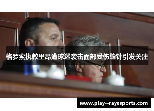 格罗索执教里昂遭球迷袭击面部受伤缝针引发关注